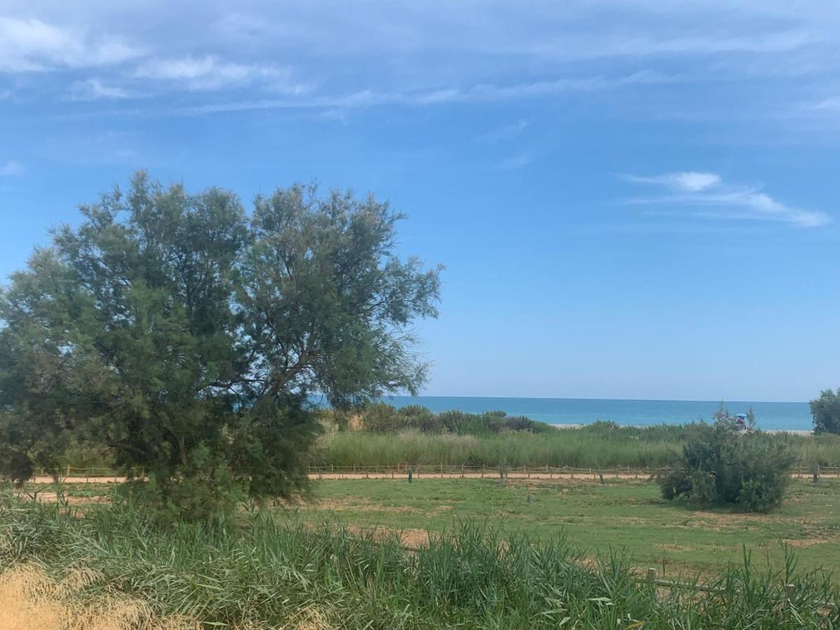 Beachfront Apartment With A Private Garden On The Ground Floor Moncofar Luaran gambar